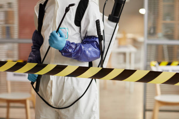 Professional Sewage Cleanup technician working in Brazoria, TX